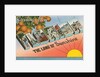 Greetings from Florida, the Land of Sunshine by Anonymous
