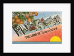 Greetings from Florida, the Land of Sunshine by Anonymous
