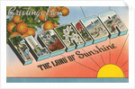 Greetings from Florida, the Land of Sunshine by Anonymous