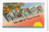 Greetings from Florida, the Land of Sunshine by Anonymous