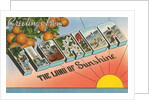 Greetings from Florida, the Land of Sunshine by Anonymous