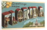 Greetings from Florida by Anonymous