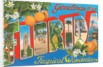 Greetings from Florida, Tropical Wonderland by Anonymous