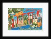Greetings from Florida, Tropical Wonderland by Anonymous