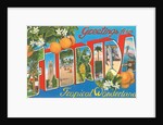Greetings from Florida, Tropical Wonderland by Anonymous