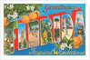 Greetings from Florida, Tropical Wonderland by Anonymous