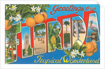 Greetings from Florida, Tropical Wonderland by Anonymous