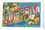 Greetings from Florida, Tropical Wonderland by Anonymous