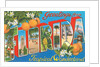 Greetings from Florida, Tropical Wonderland by Anonymous