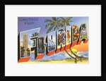 Greetings from Florida by Anonymous