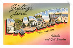 Greetings from Bradenton, Florida, and Gulf Beaches by Anonymous