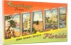 Greetings from Miami and Miami Beach, Florida by Anonymous