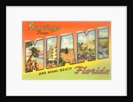 Greetings from Miami and Miami Beach, Florida by Anonymous