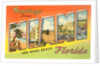 Greetings from Miami and Miami Beach, Florida by Anonymous