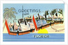 Greetings from Palm Beach, Florida by Anonymous
