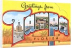 Greetings from Tampa, Florida by Anonymous