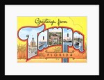 Greetings from Tampa, Florida by Anonymous
