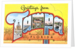 Greetings from Tampa, Florida by Anonymous