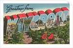 Greetings from Waycross, Georgia by Anonymous