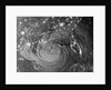 Night view of Hurricane Isaac approaching Louisiana by Anonymous