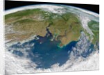 River Outflow to the Kara Sea by Anonymous