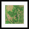 Pine Bark Beetle Damage to Forests, before image by Anonymous