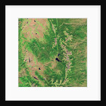 Pine Bark Beetle Damage to Forests, before image by Anonymous