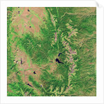 Pine Bark Beetle Damage to Forests, before image by Anonymous