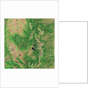 Pine Bark Beetle Damage to Forests, before image by Anonymous