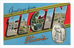 Greetings from Elgin, Illinois by Anonymous