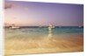 Beach and fishing boats on sea, Bavaro, Dominican Republic by Anonymous