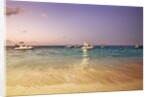 Beach and fishing boats on sea, Bavaro, Dominican Republic by Anonymous