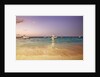Beach and fishing boats on sea, Bavaro, Dominican Republic by Anonymous