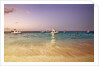 Beach and fishing boats on sea, Bavaro, Dominican Republic by Anonymous