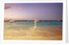 Beach and fishing boats on sea, Bavaro, Dominican Republic by Anonymous
