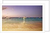 Beach and fishing boats on sea, Bavaro, Dominican Republic by Anonymous