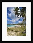 Tropical beach, Playa Rincon, Samana Peninsula, Dominican Republic by Anonymous