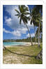Tropical beach, Playa Rincon, Samana Peninsula, Dominican Republic by Anonymous
