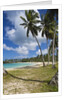Tropical beach, Playa Rincon, Samana Peninsula, Dominican Republic by Anonymous