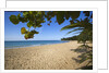 Tropical beach, Las Terrenas, Dominican Republic by Anonymous