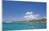 Coastline, Samana Peninsula, Dominican Republic by Anonymous