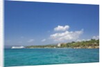 Coastline, Samana Peninsula, Dominican Republic by Anonymous