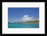 Coastline, Samana Peninsula, Dominican Republic by Anonymous