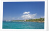 Coastline, Samana Peninsula, Dominican Republic by Anonymous