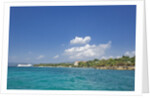 Coastline, Samana Peninsula, Dominican Republic by Anonymous