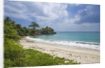 Tropical beach, Samana Peninsula, Dominican Republic by Anonymous