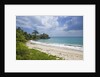 Tropical beach, Samana Peninsula, Dominican Republic by Anonymous
