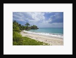 Tropical beach, Samana Peninsula, Dominican Republic by Anonymous