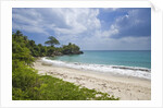 Tropical beach, Samana Peninsula, Dominican Republic by Anonymous