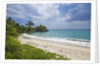Tropical beach, Samana Peninsula, Dominican Republic by Anonymous